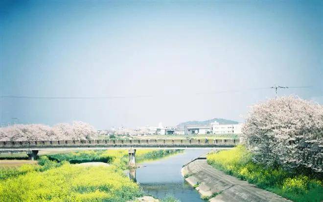 025年一周运势（33-39）CQ9电子最新网站十二生肖 2(图11)
